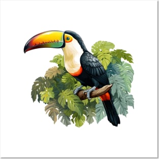 Toco Toucan Posters and Art